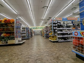 Dollar Tree