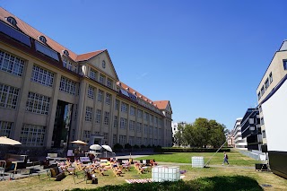 Kino im Blauen Salon