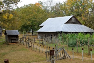 Jarrell Plantation State Historic Site