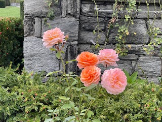 Topiary Garden