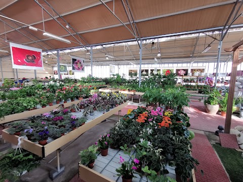 Extra Garden Center