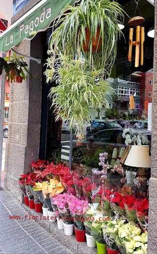 Floristería La Pagoda