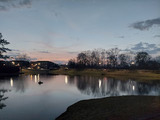 University Village Back Pool