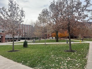 Roy J. and Lucille A. Carver College of Medicine