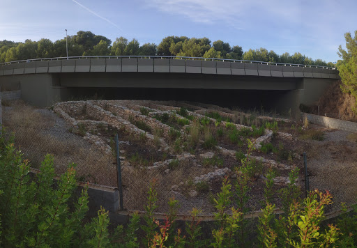 Yacimiento Íbero Fondo del Roig