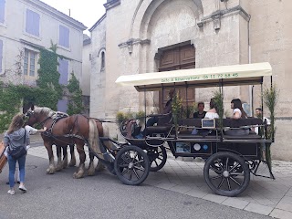 Les Attelages De Grignan. Balades en calèche.