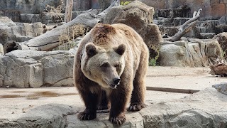 Zoo Aquarium de Madrid