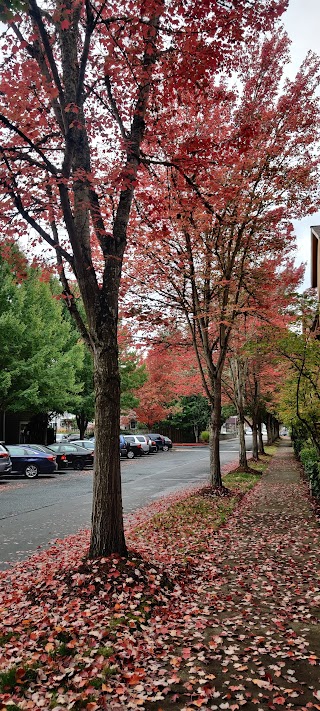 Thorncroft Farms Apartments