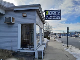 Worcester Cat Hospital & Bird Clinic