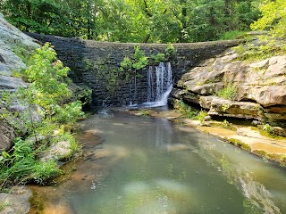 Dixon Springs Pool