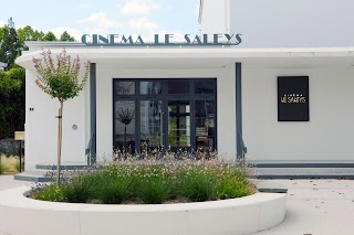 Cinema Le Saleys