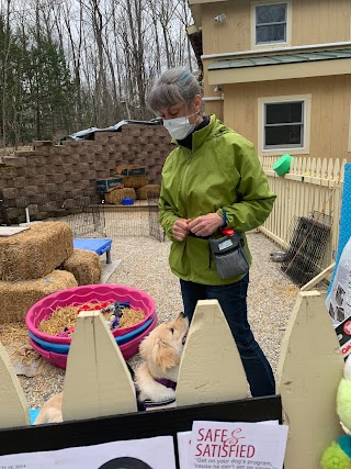 Pet Connection Dog Training