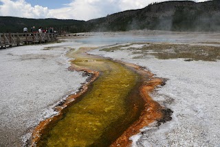 Turquoise Pool