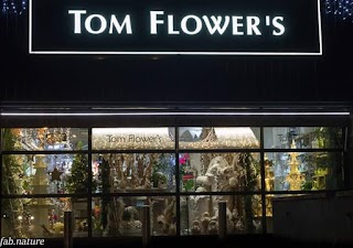 Tom Flower's