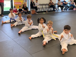 Mt.Kim Black Dragon Martial Arts - Summer Camp / After School