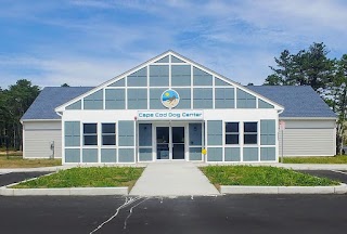 Cape Cod Dog Center