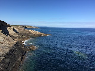 Puente de Isla Pancha