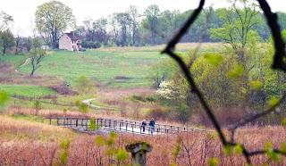 Meadow Garden