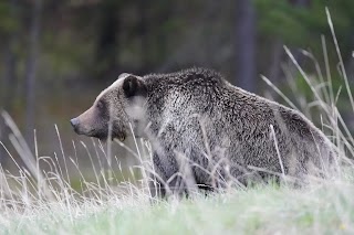 Guides of Jackson Hole