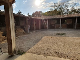 Poney Club et Gîte de Villers en Argonne