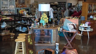 PAWSitively Unique Thrift Boutique Store