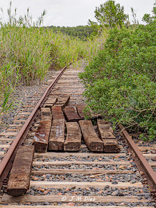 Viaducte Ferroviari del Catllar