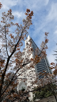 Sakurazaka