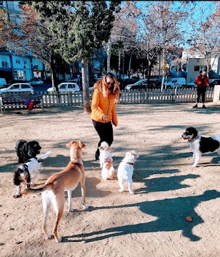 Paseador de perros y guardería canina en Barcelona Dog Mom @dogsmompaseoperrosbcn