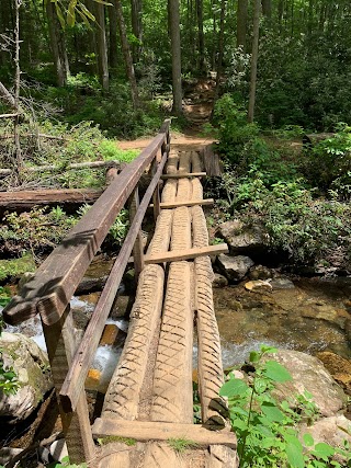 Cove Creek Falls