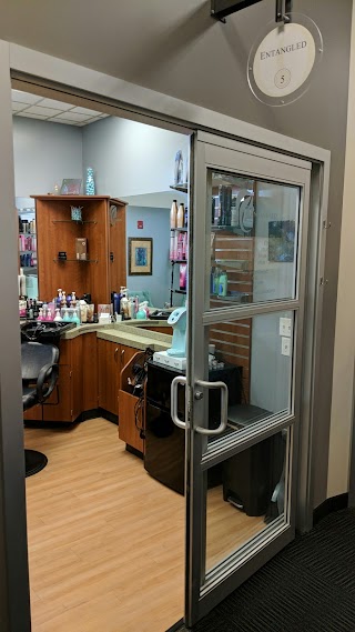 Sola Salon Studios