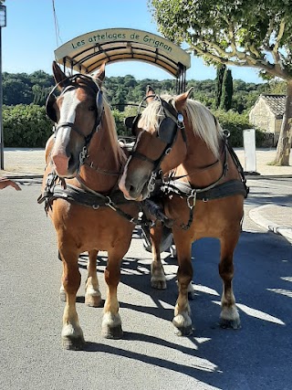 Les Attelages De Grignan. Balades en calèche.