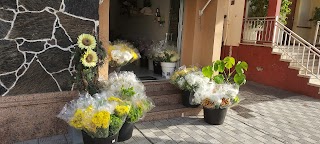 Floristería Pétalos