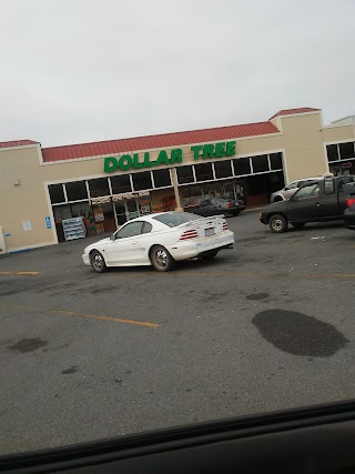 Dollar Tree