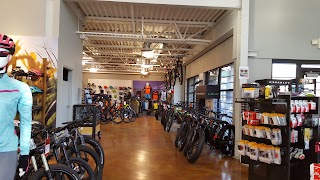 Bingham Cyclery