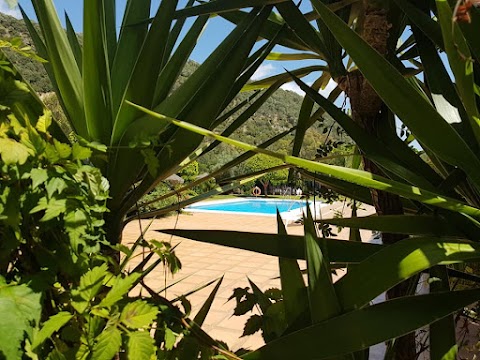 Hotel El Paso - Hotel en Vejer de la Frontera, Cádiz