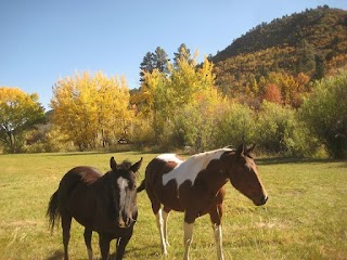 The Bunkhouse at HappyOurs Ranch