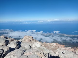 Excursiones en Tenerife