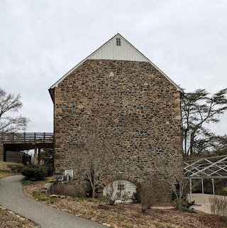 Tyler Arboretum