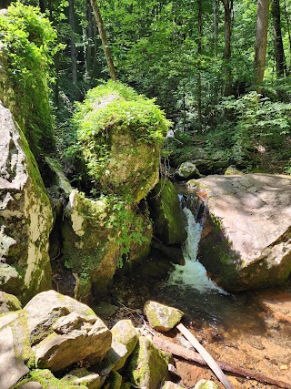 Anna Ruby Falls Visitor Center & Gift Shop