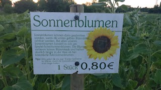 Blumenverkauf Eichenauer