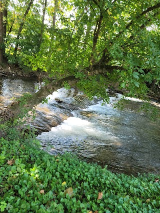 Shadrack Campground