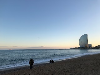 Cinema Lliure a la Platja