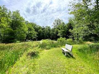 Friends Wilderness Center