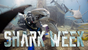 Shark Week thumbnail