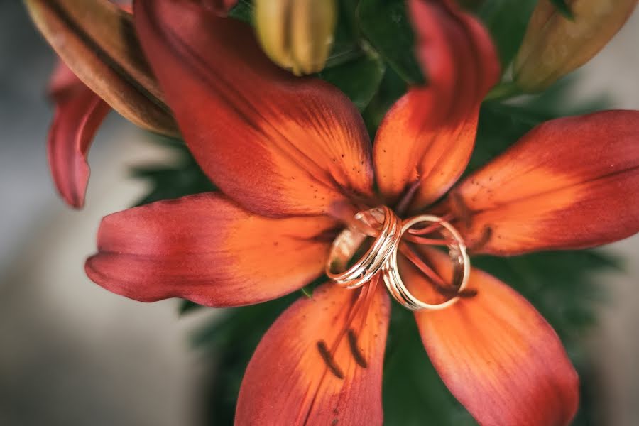 Fotografo di matrimoni Karin Schönhals (karinschonhals). Foto del 1 luglio 2016