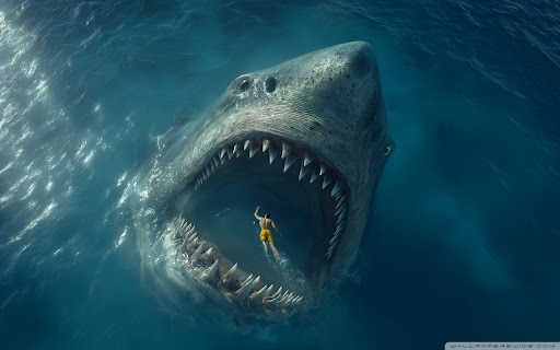 Face to Face with the Ocean’s Predator screenshot 1