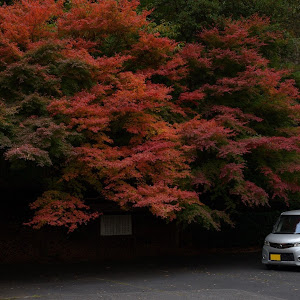 ルークス ハイウェイスター ターボ
