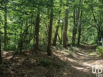 terrain à Bois-le-Roi (77)