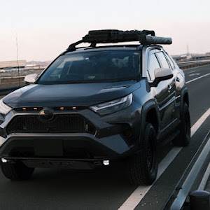 RAV4 MXAA54