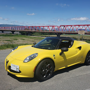 4C スパイダー 96018